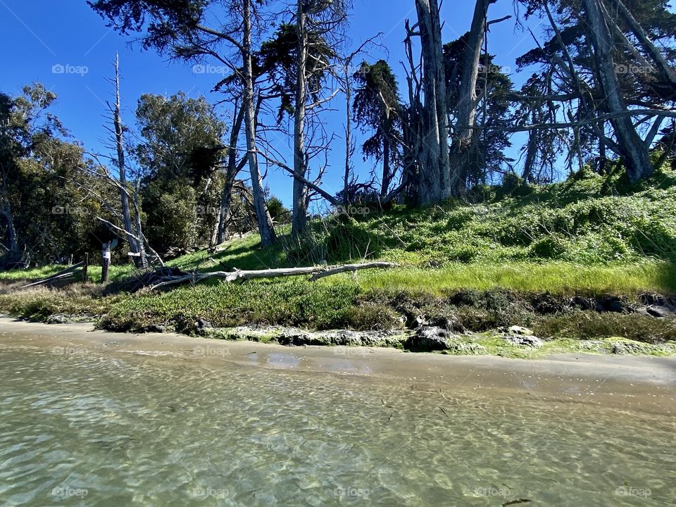 Beautiful beach in the Elkhorn Slough State Marine Reserve in Moss Landing California 