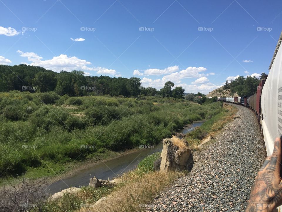 Landscape, No Person, Tree, Road, Sky