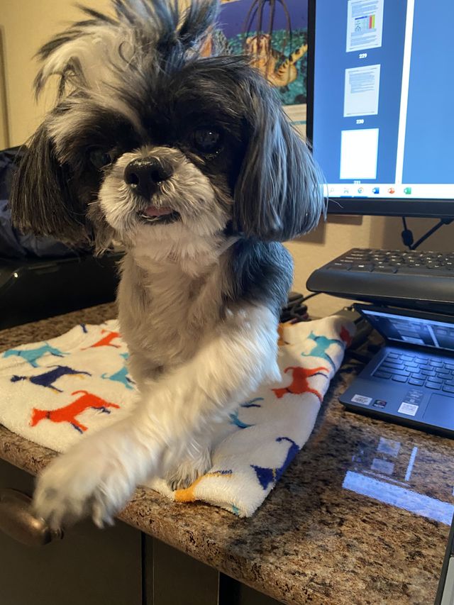Work helper 