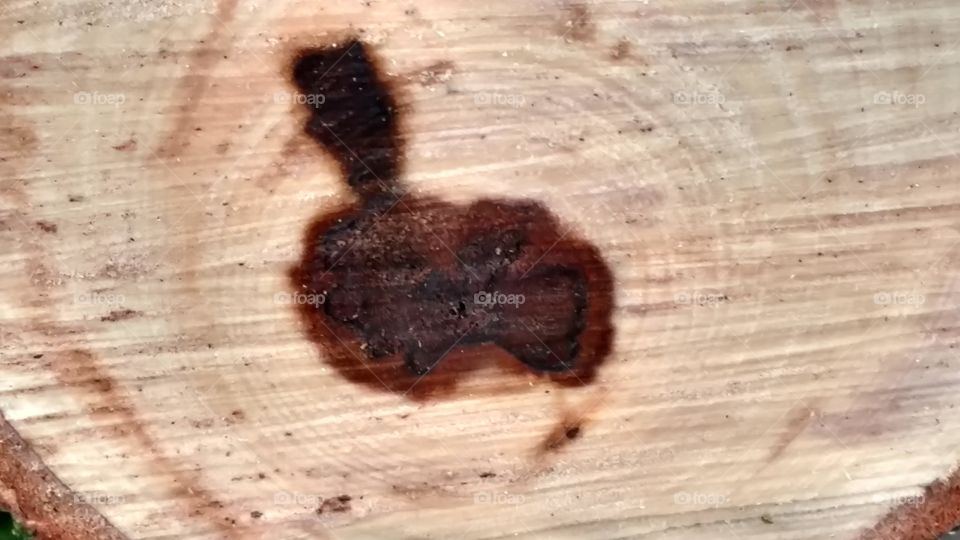 Wood, Desktop, Closeup, Texture, No Person