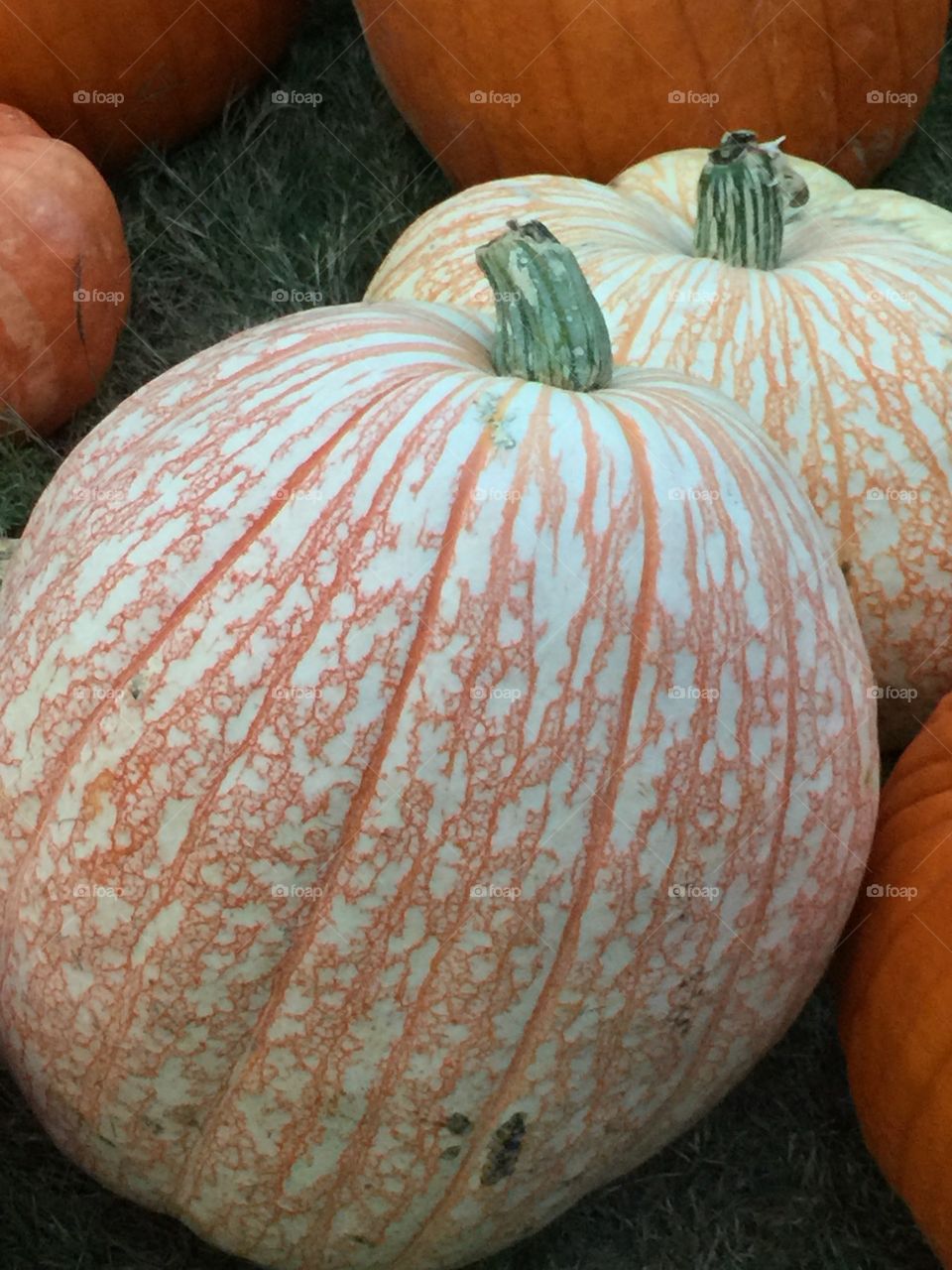 Unique pumpkin