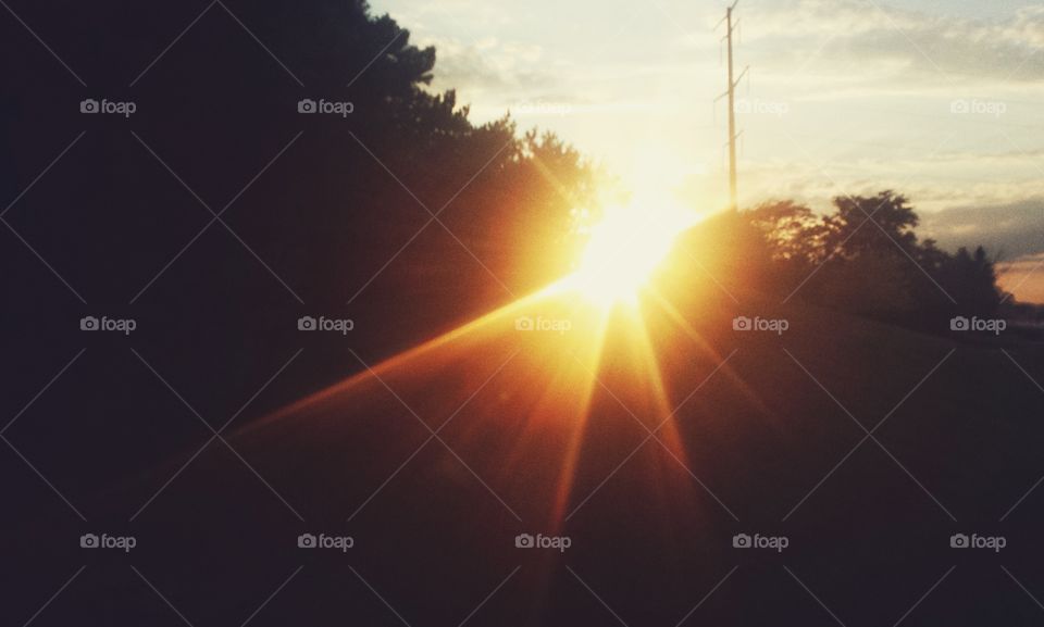 Silhouette of a trees