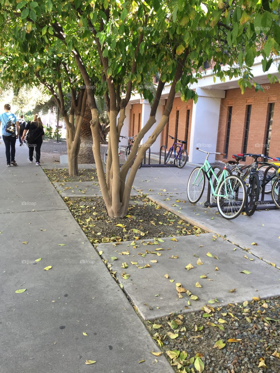 College life and bike parking