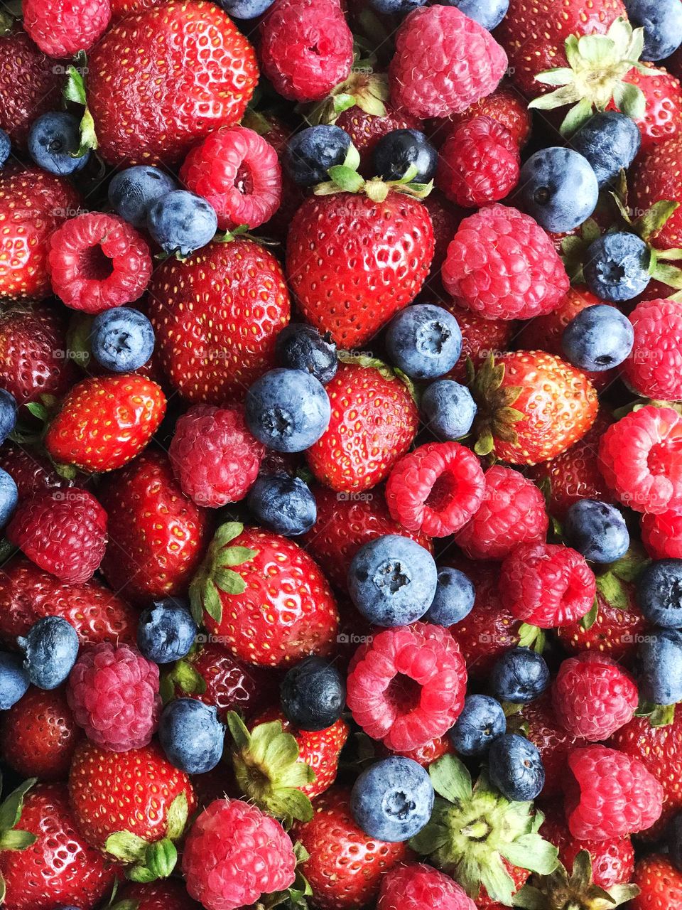 Fresh berries background. Summer photo
