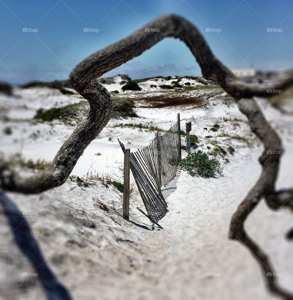 Path in the sand dunes