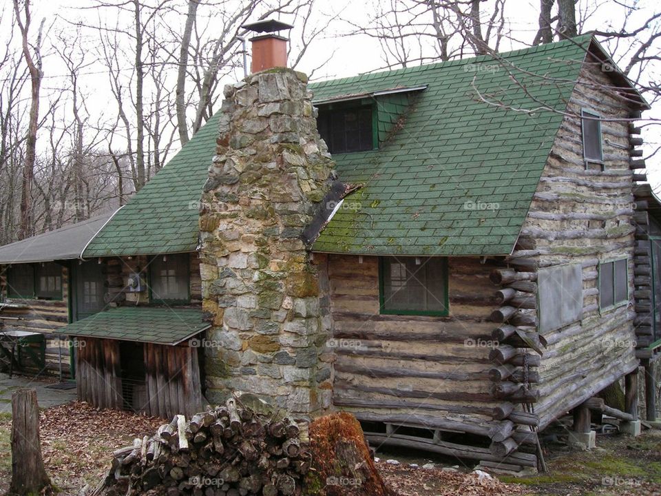 cabin in woods