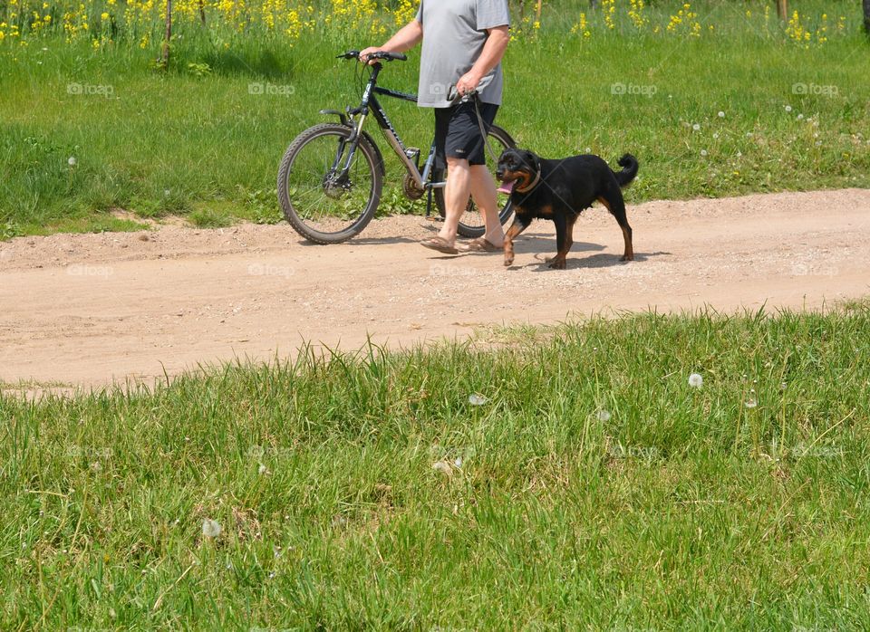 Grass, Road, Outdoors, Fun, Leisure