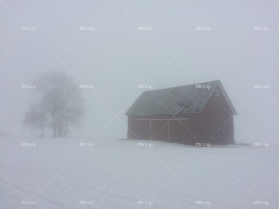 Barn and tree on snow in fog.
