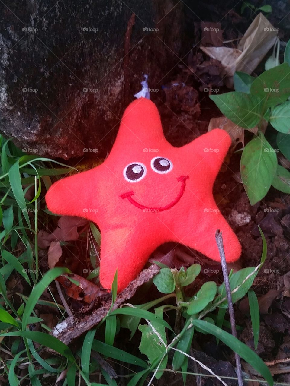 starfish toy on forest floor around weeds and wild plants