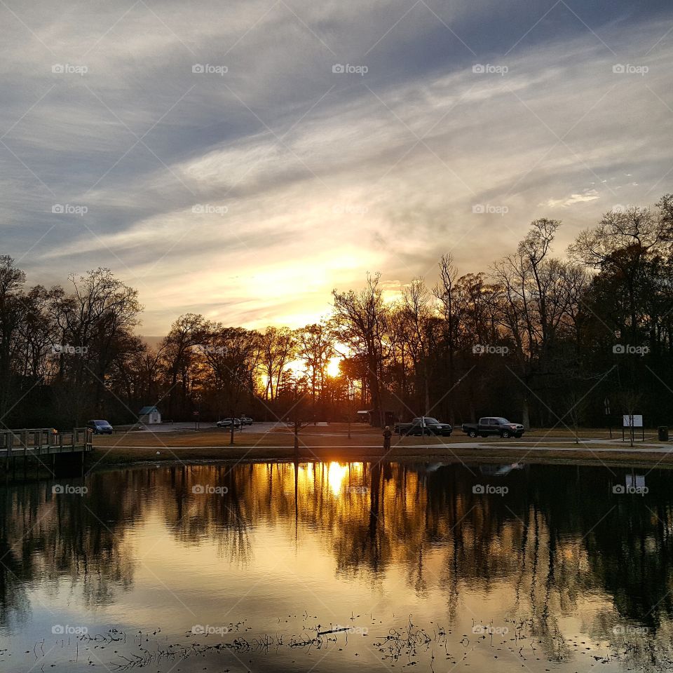 Reflections in the park