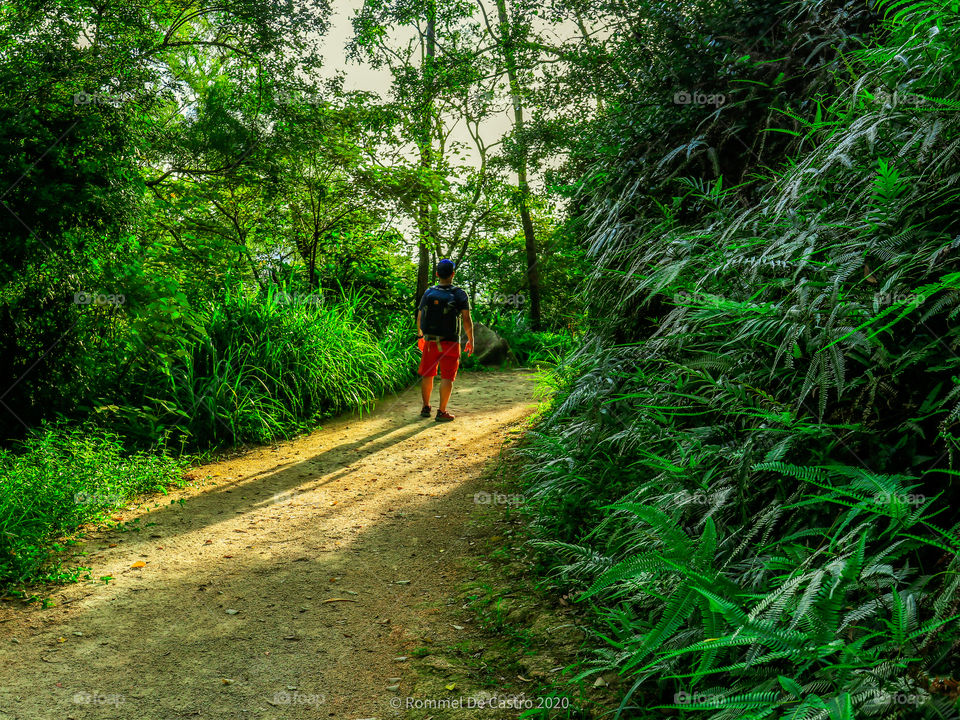 Rear view of A Man while hiking on a trail.