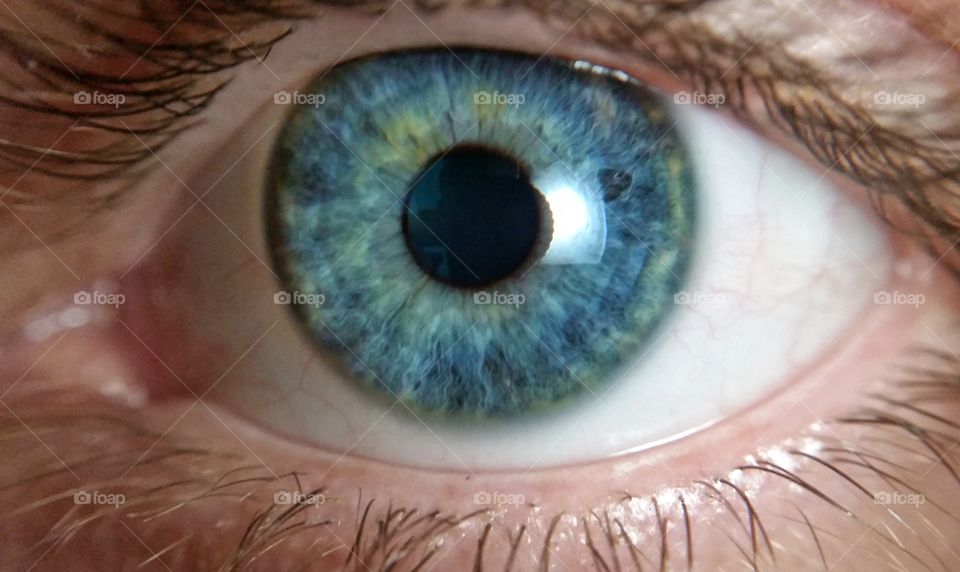 blue eye