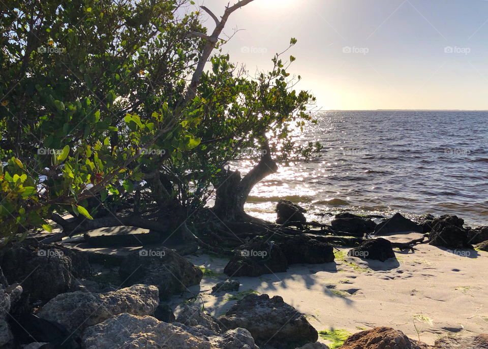 Lights and shadows on the beach.