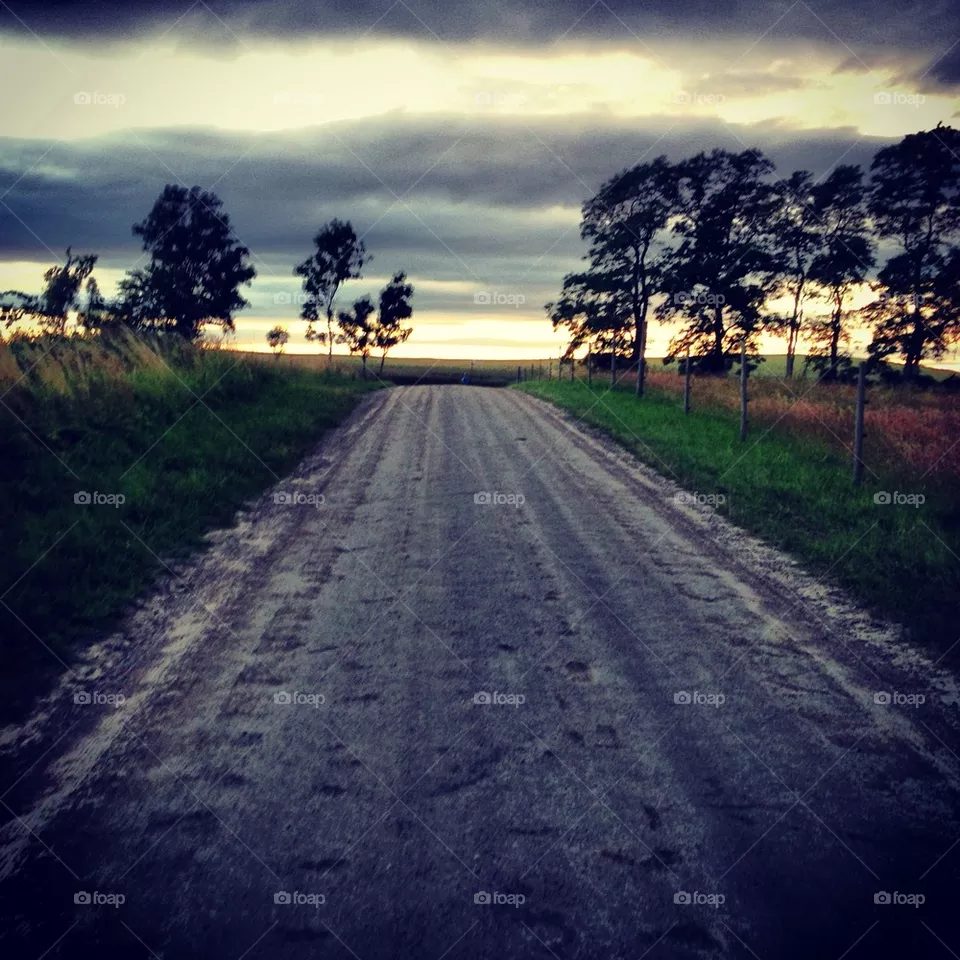 Road