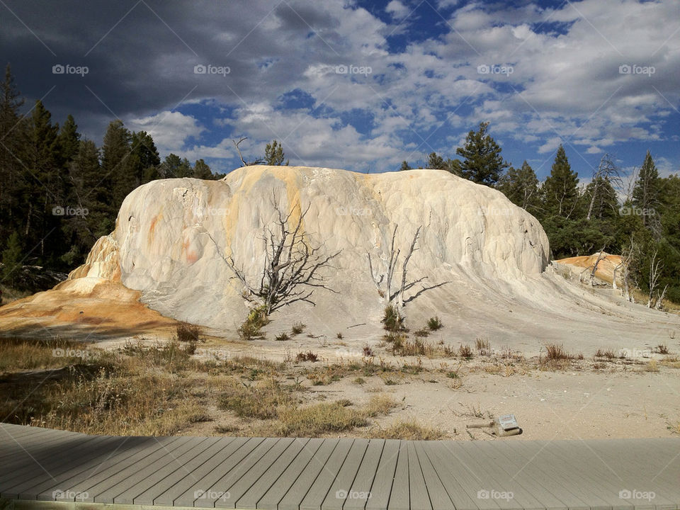 Mammoth Hot Springs