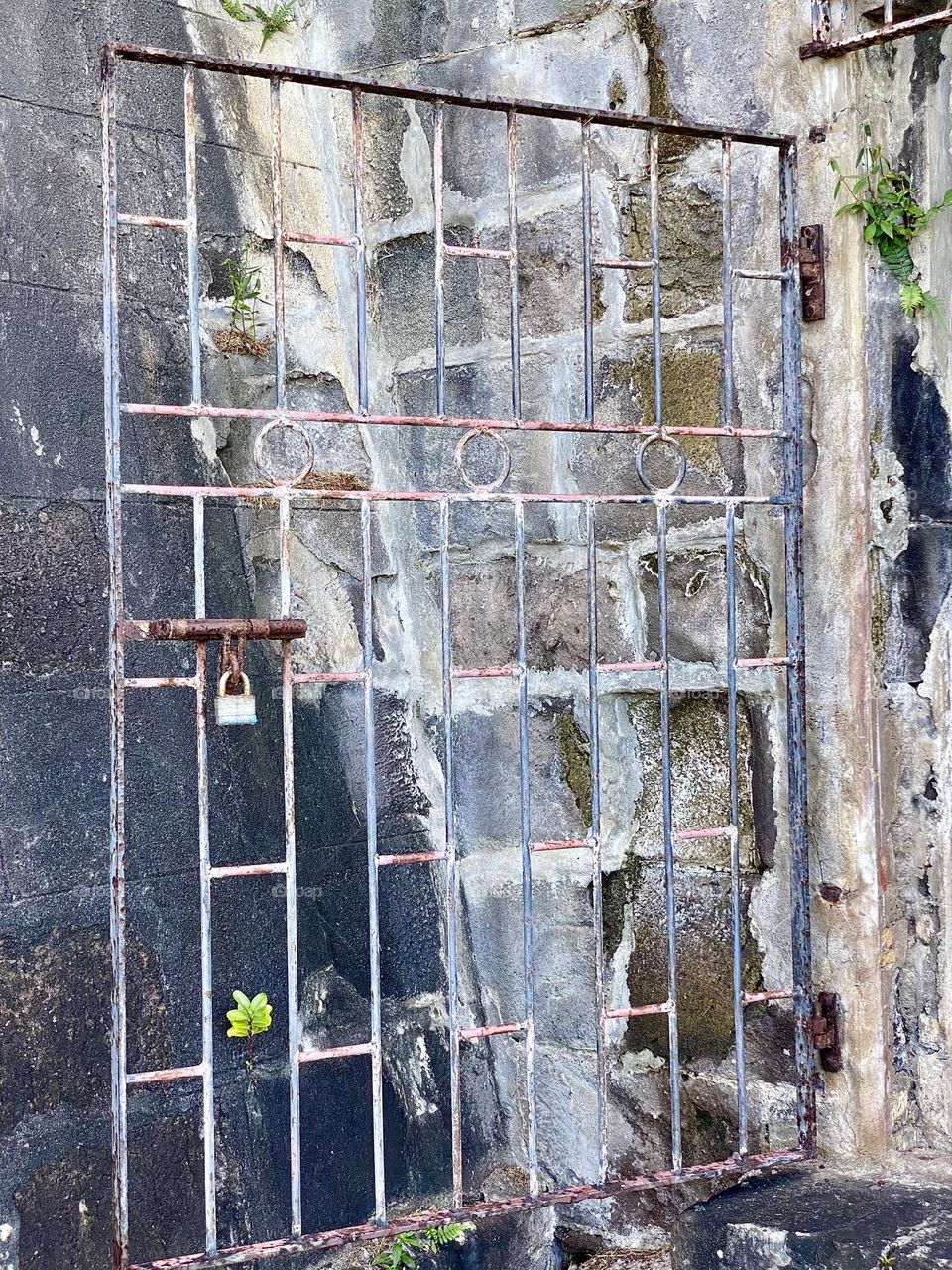 A metal gate in an old fort