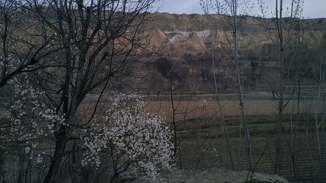 my village