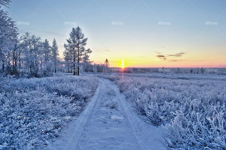 Winter, evening sunset, north, snow, frosty, tundra, ice, winter photo, photo, silence, Arctic, beauty, January, February, sun, walk,