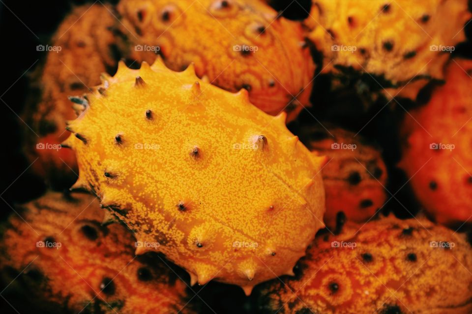 Close-up of kiwano fruits