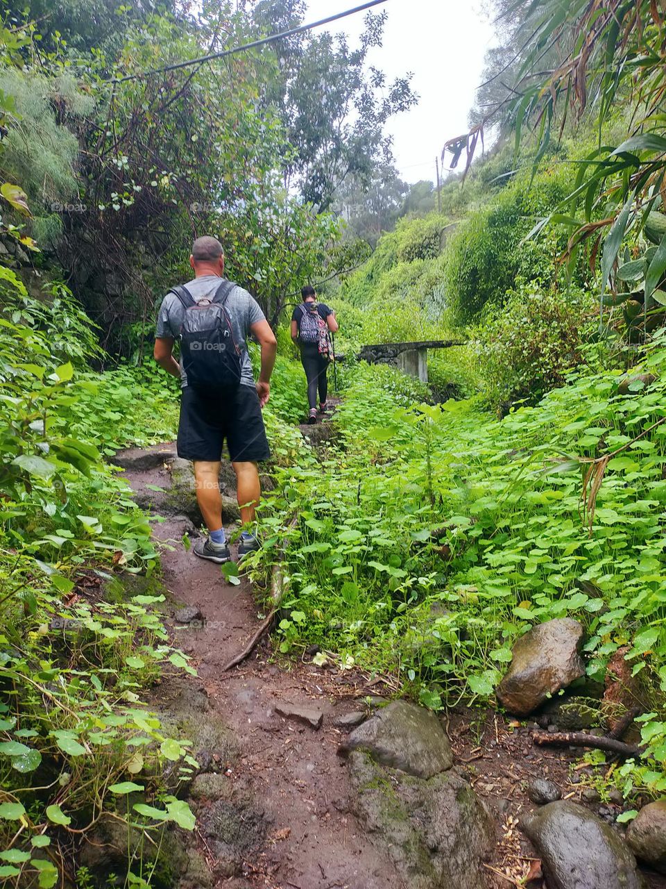 senderismo gran canaria Barranco de Teror