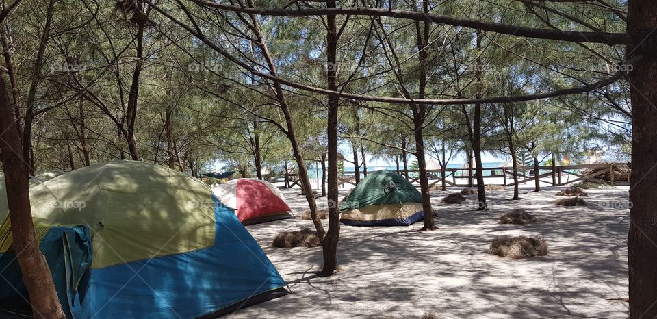 camping by the beach