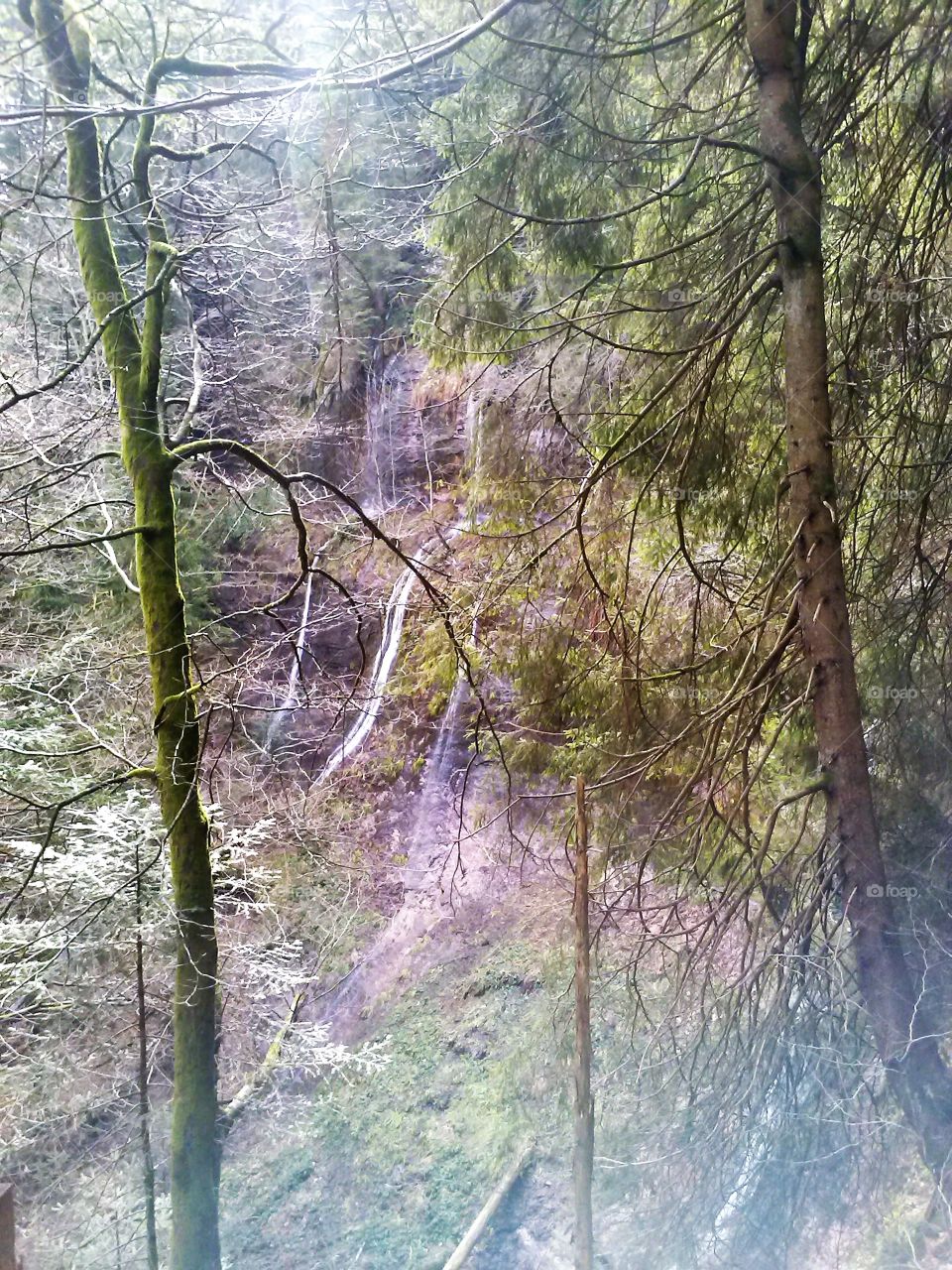 Waterfall in Schwarzwald
