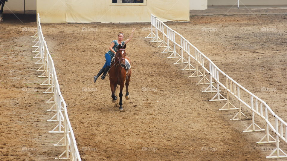 Equestrian performances 馬術表演