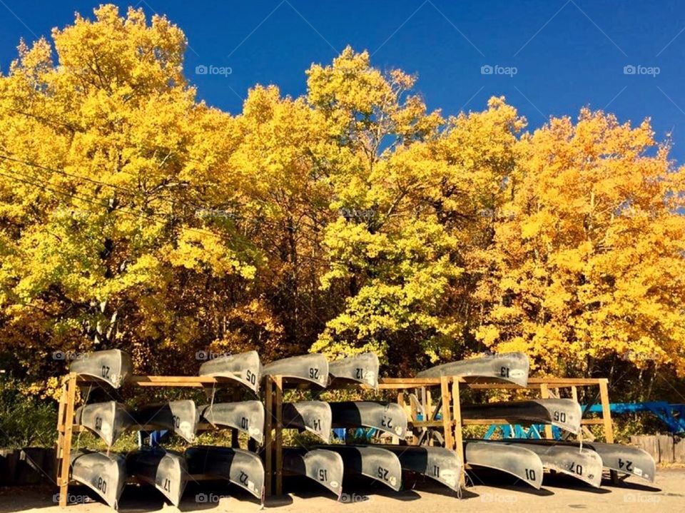 Canoes in Fall