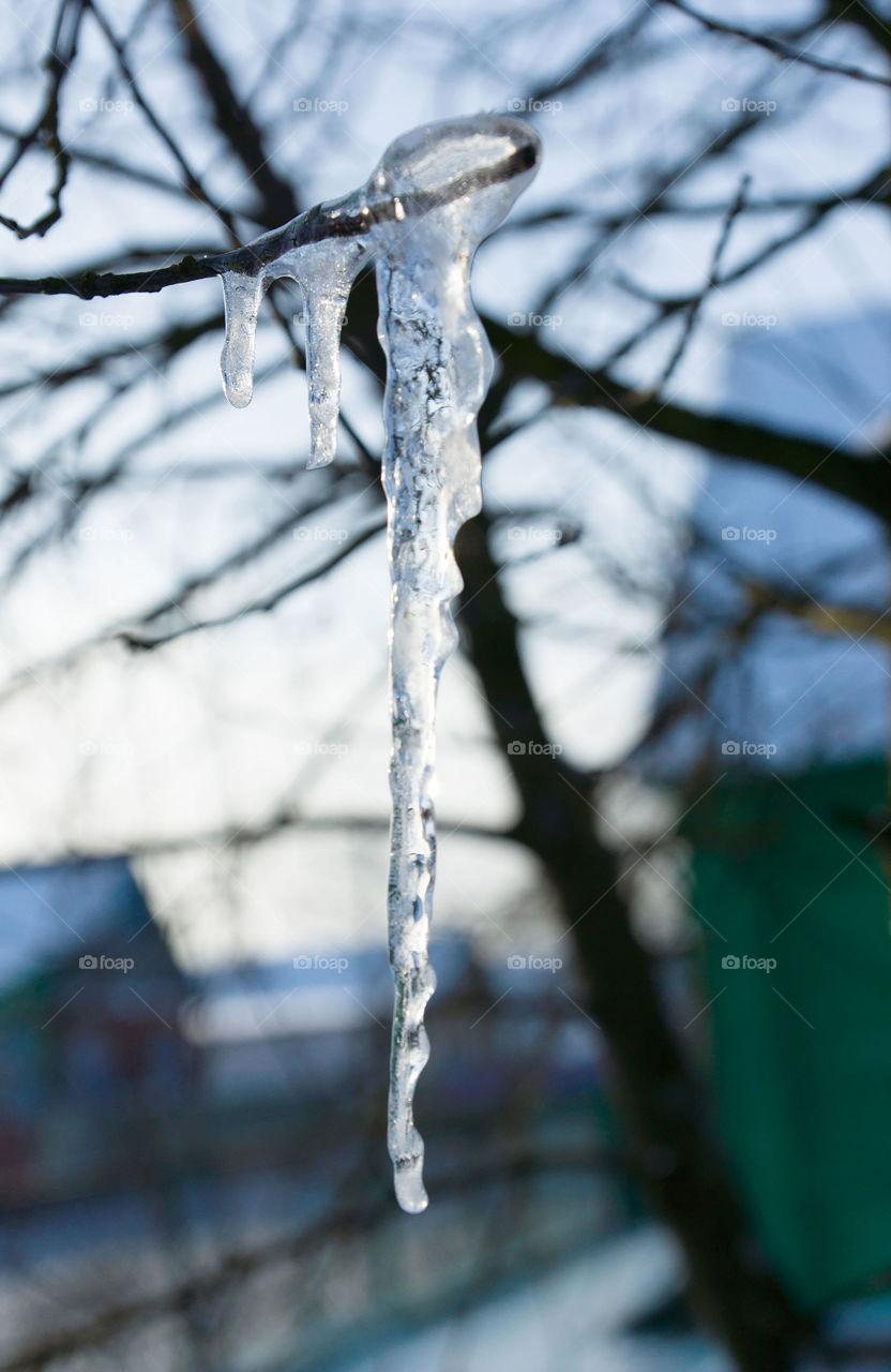 Icicles