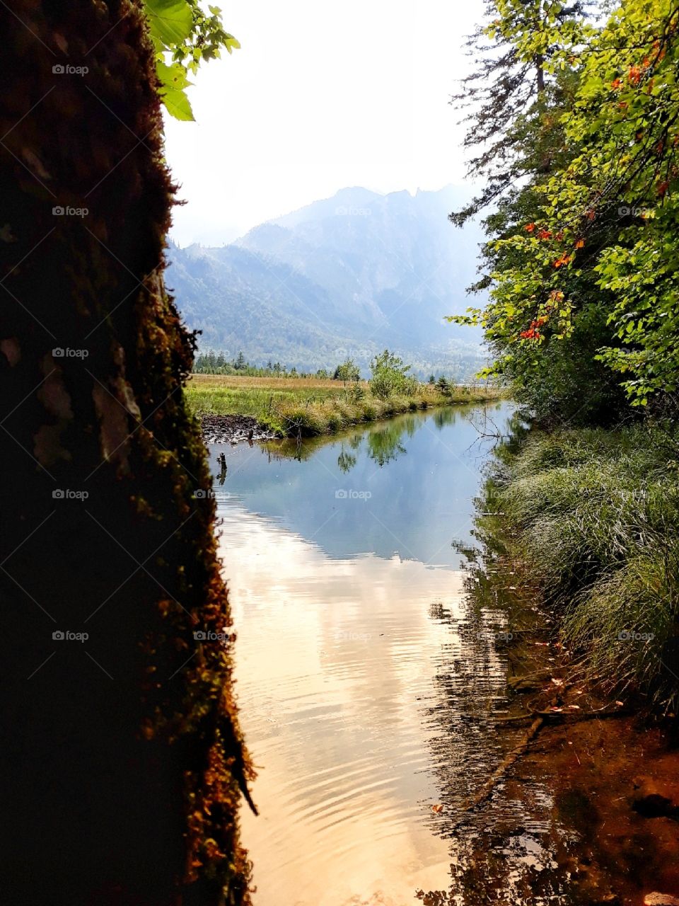 Waking up in the nature