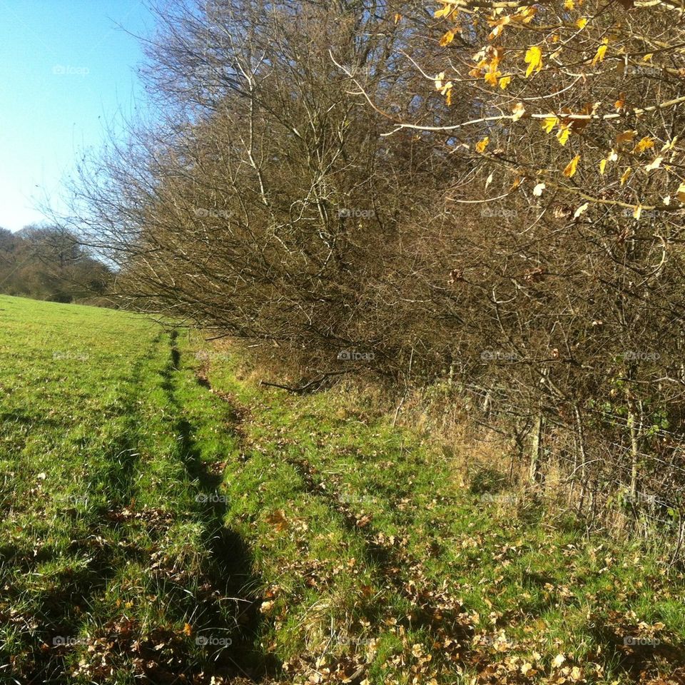 Farm path