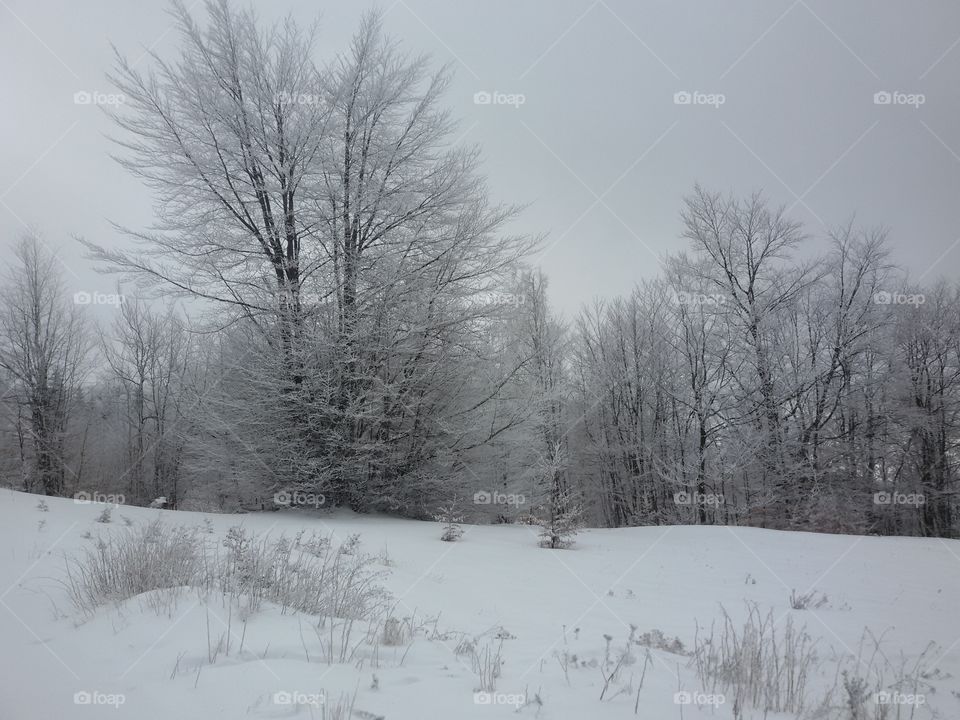 winter time landscape