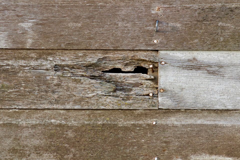 Weathered and decaying wooden siding with rusty nails on an antique farm building 