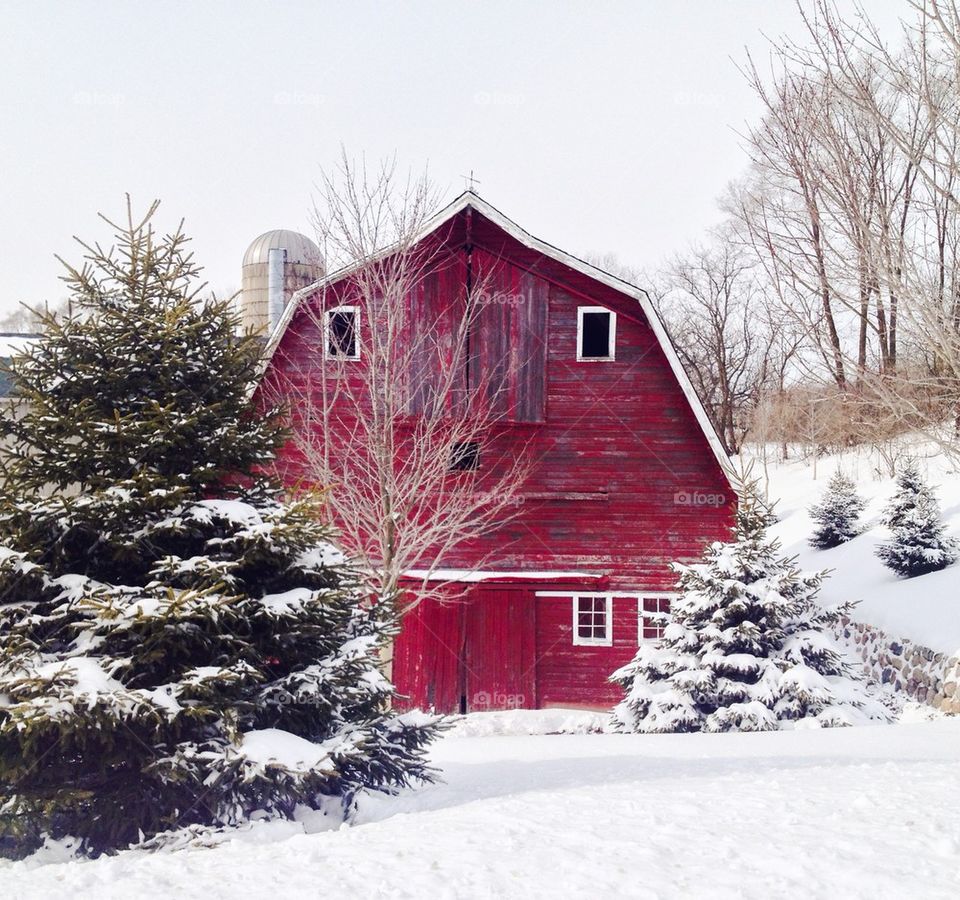 Red Barn