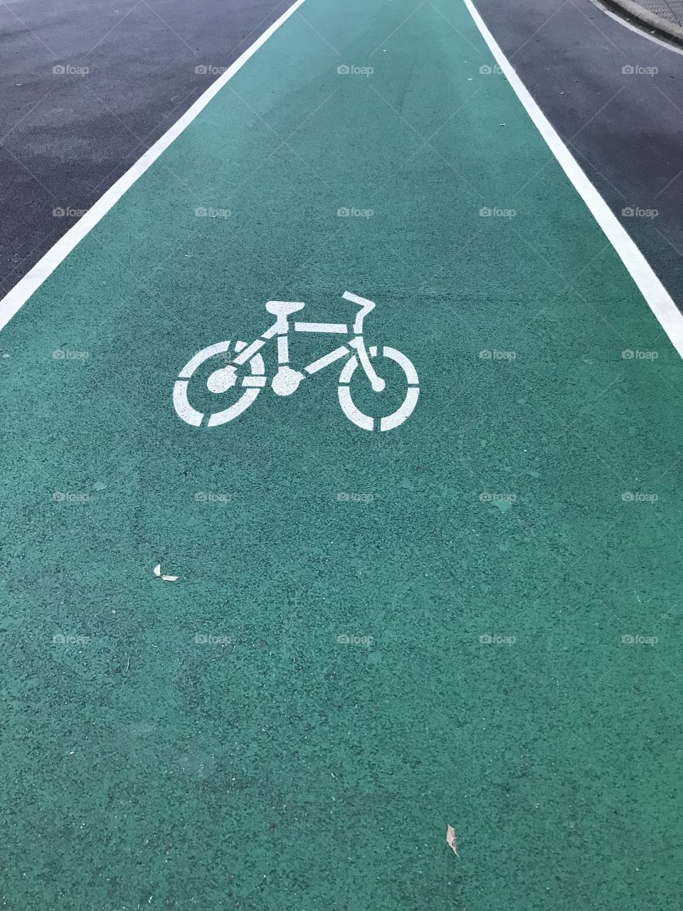 Bike lane