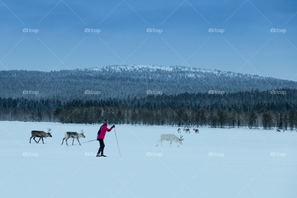 Crosscountry skiing