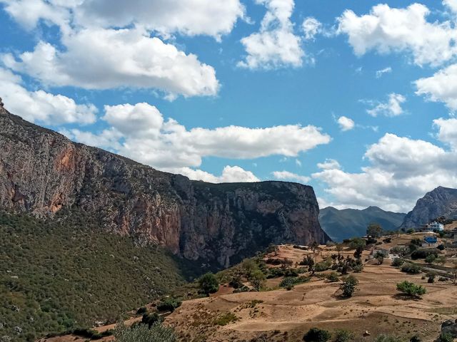 Beautiful Landscape
