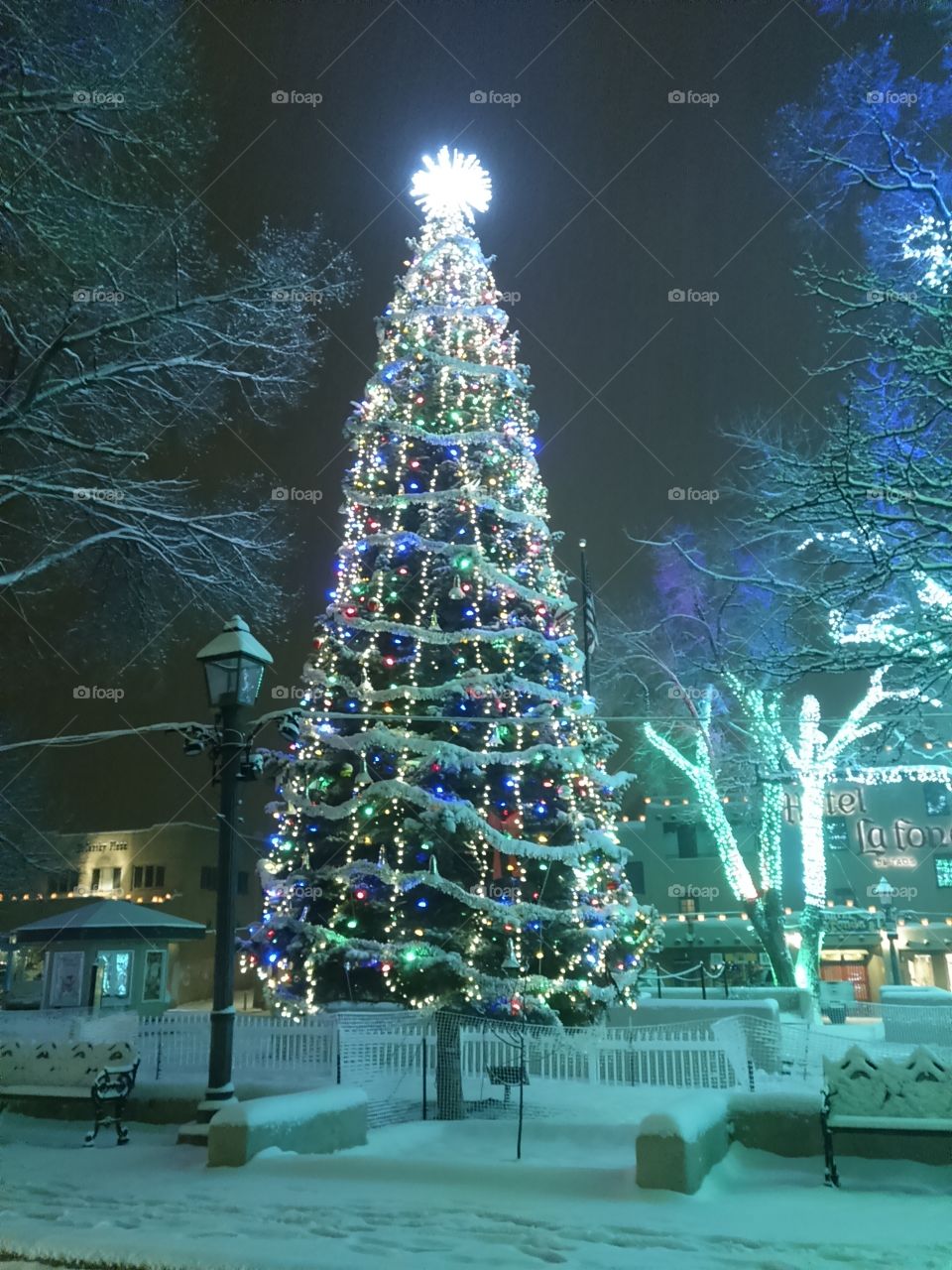 Decorated outdoor holiday pine tree twinkling on snowy night in Plaza