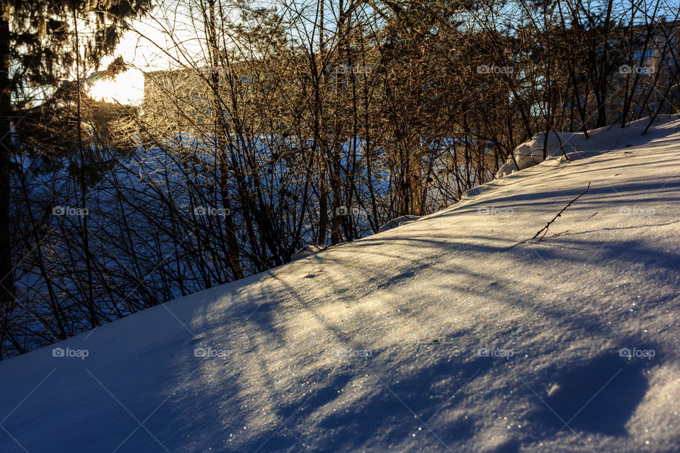 Winter sun with tree shadows