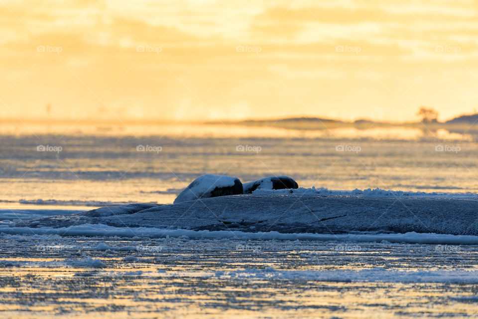 Golden light before sunset on icy Baltic sea in Helsinki, Finland at the beginning of January 2017. 