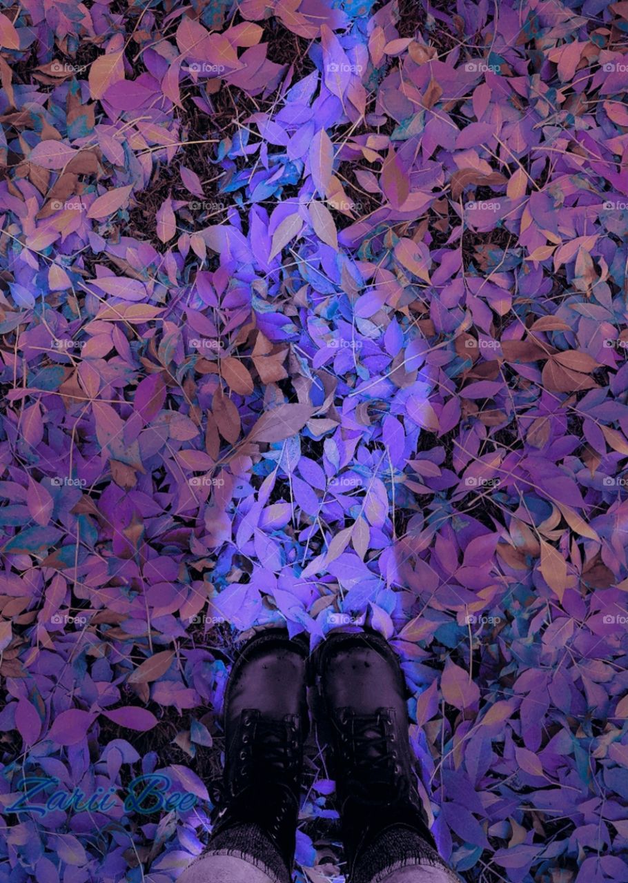 Walking Up A Magical Path🦄☄
"Unâ—‹rdinary Visiâ—‹ns..
Abundance â—‹f Thâ—‹ught,
Flâ—‹â—‹ds â—‹f Emâ—‹tion.
Rising In A Frâ—‹zen Mist.
Flâ—‹ating Abâ—‹ve My Mâ—‹ther."
-Zarii Bee🖤