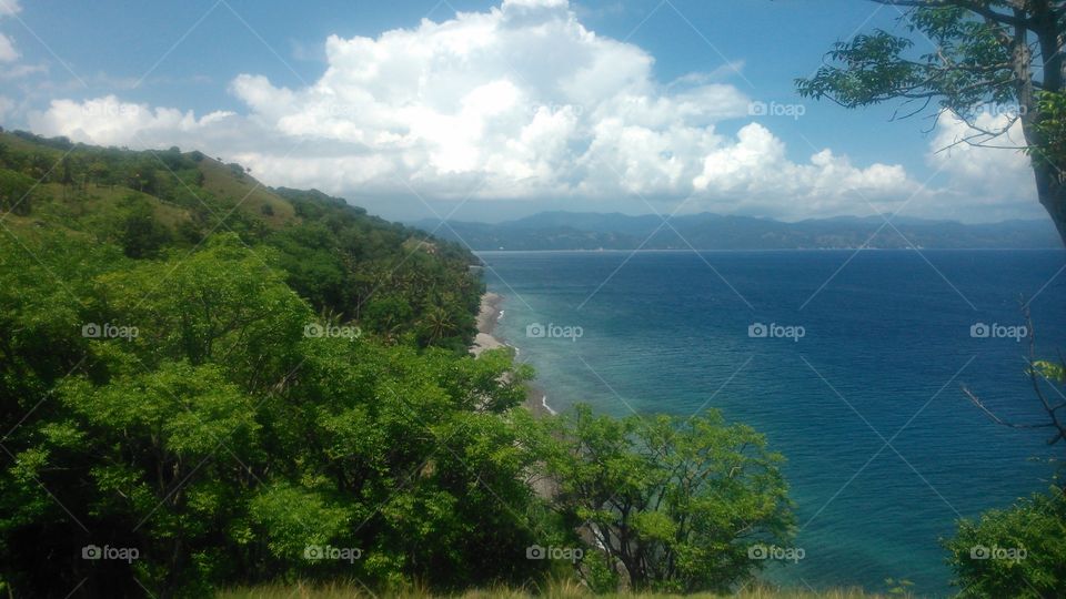 Beautiful landscape - Trees - Beach - Mountain