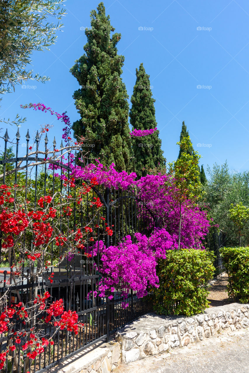 garden in Italy