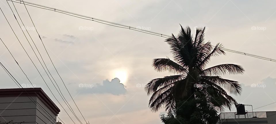 Awesome sunset 🌇🌆 picture. Sun is behind the clouds 😍🌻 it's looking very beautiful ❤️