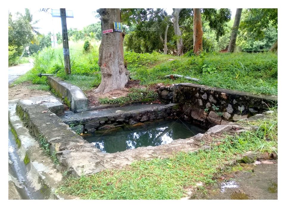 srilanka's traditional KUMBUKE well with KUMBUK tree. it has naturally automatic  ayurvadic water filtering system.