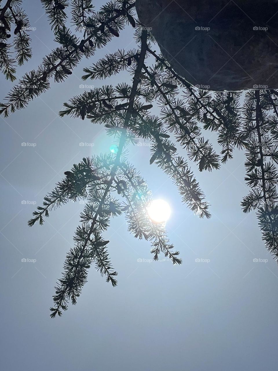 Combination of beauty and energies sources.