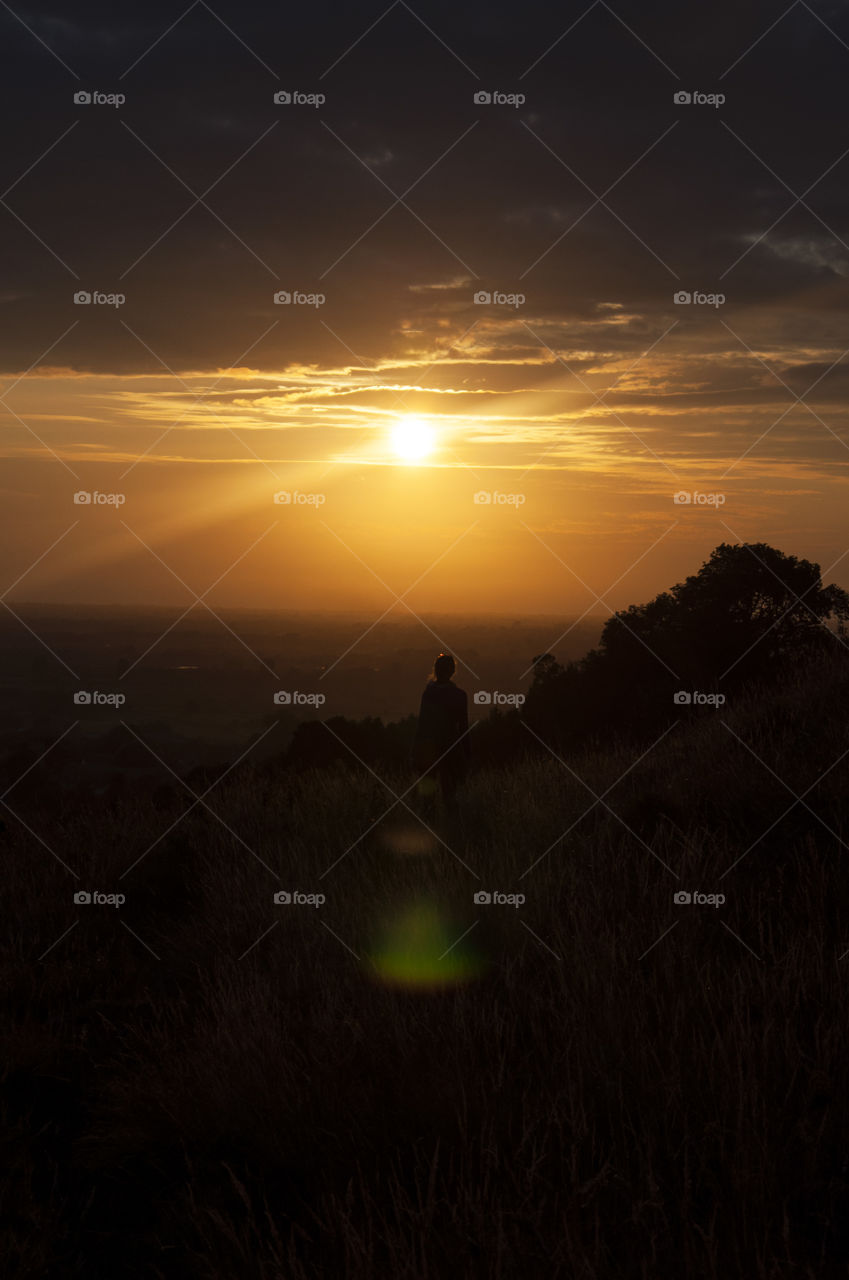 sunset in the fields