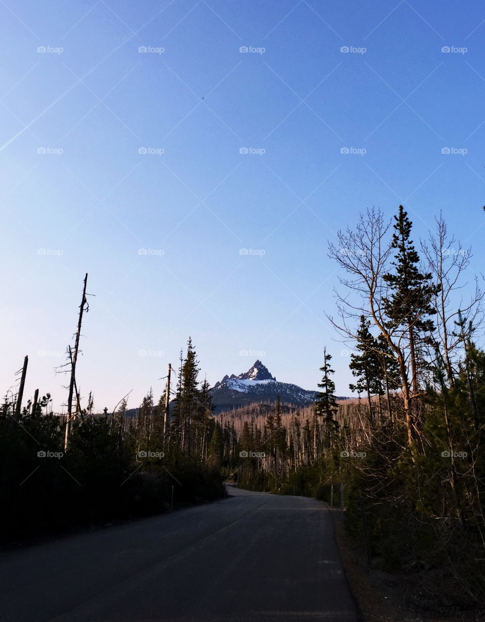 Mt. Washington in Oregon's Cascade Mountains seen glowing as the sun rises from a backroad. 