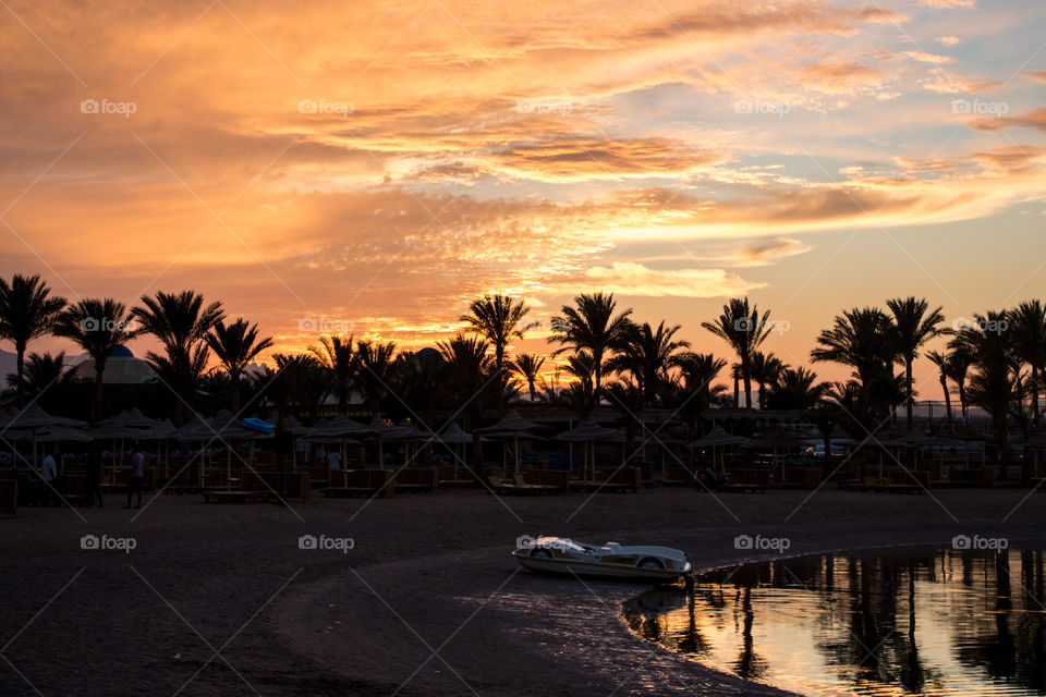 Sunset and trees in Hurghada