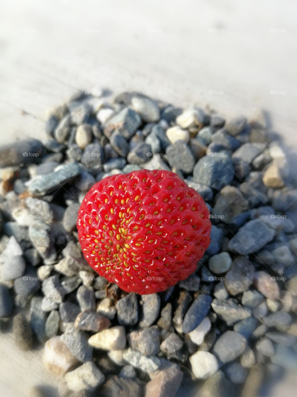 2 strawberries on a bed of pebbles